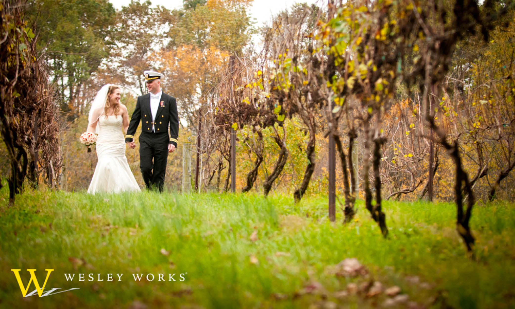 monterre vineyards, monterre vineyard wedding, lehigh valley wedding reception sites