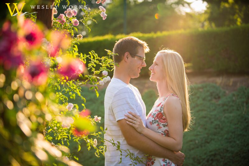 Allentown Rose Gardens